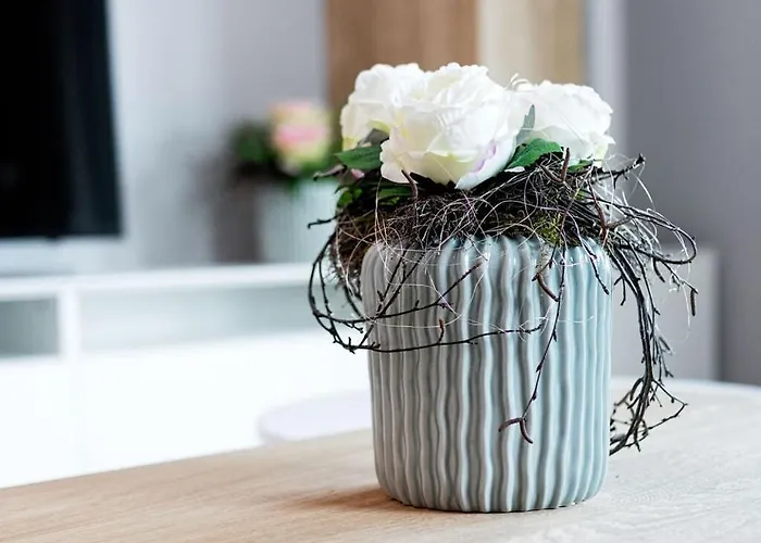 Dune Dream In Anika Holiday home